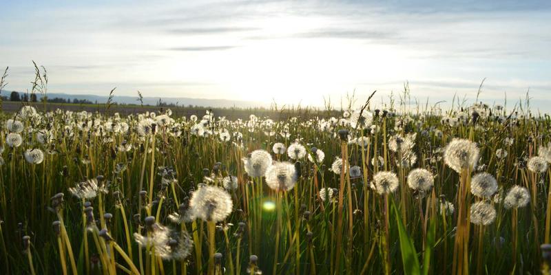 企业年货卡采购新思路：赛博朋克风格礼品卡如何引爆员工热情