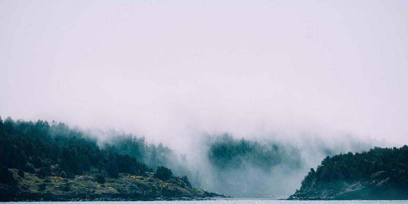 年货卡16：传统美食与节日采购的智慧融合，礼品卡开启新春消费新体验