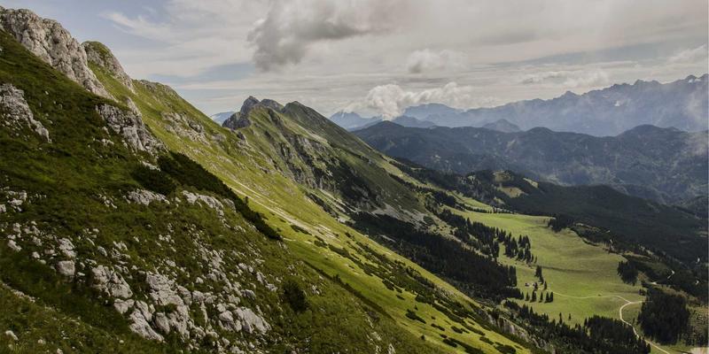 年货卡31：解锁节日消费新体验，传统美食与创意礼品的完美融合