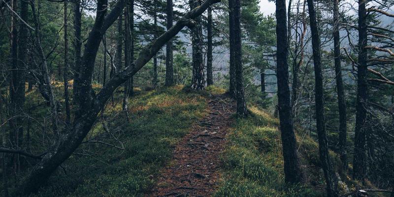 年货卡48：解锁节日采购新体验，让春节礼物更显心意