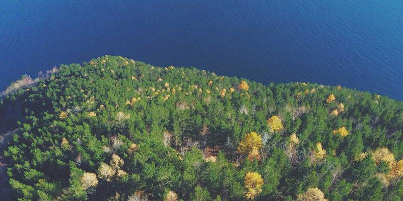 年货卡53：重新定义春节礼物，开启智慧送礼新风尚