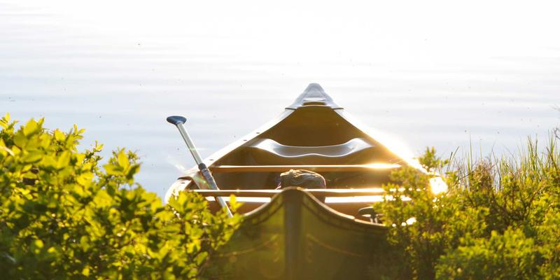 年货卡61：解锁节日采购新姿势，品味传统美食与年货礼品的双重魅力