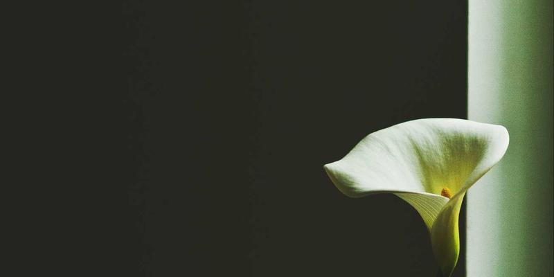 年货卡个性化定制：从企业Logo到赛博朋克风格，打造专属节日情感货币