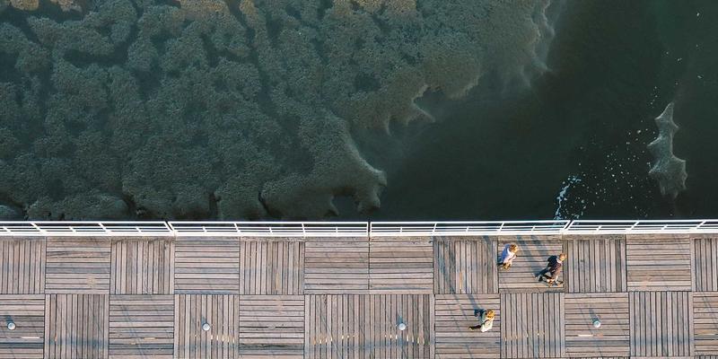 年货卡：乡村振兴新引擎，如何打通农产品上行与县域品牌推广双通道