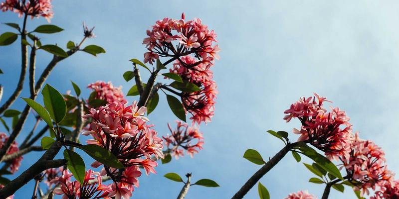 年货卡如何撬动县域春节礼品市场？节日商品下沉的三大渗透策略