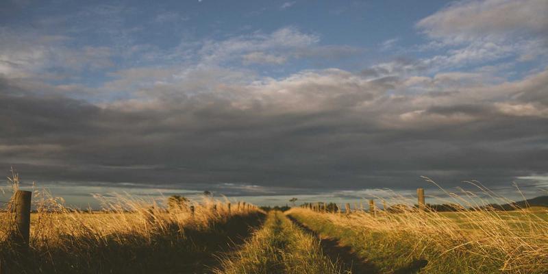 年货卡新选择：用礼品卡解锁传统美食，开启新春心意传递新方式