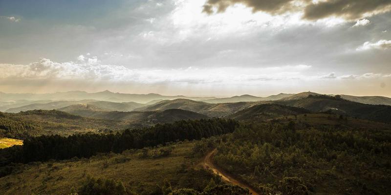 年货卡：融合传统美食与新春心意的智慧之选