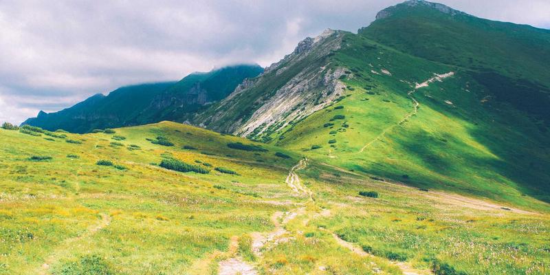 年货卡跨界联名案例解析：如何携手文化IP与本地品牌，引爆传统美食节日采购热潮