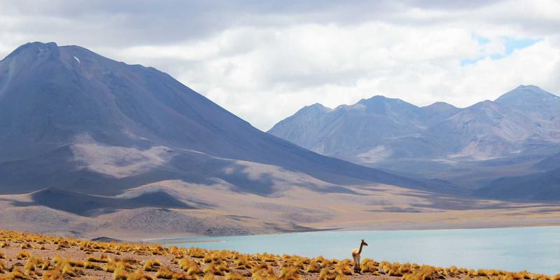 银发经济新趋势：以传统美食为核心的年货卡创新设计